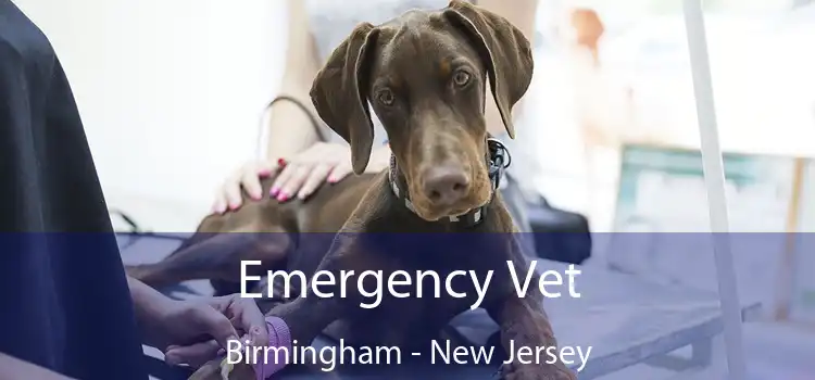 Emergency Vet Birmingham - New Jersey