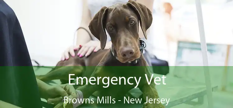 Emergency Vet Browns Mills - New Jersey