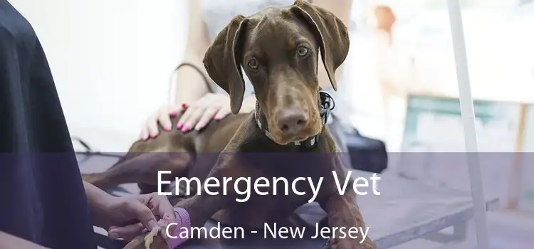 Emergency Vet Camden - New Jersey