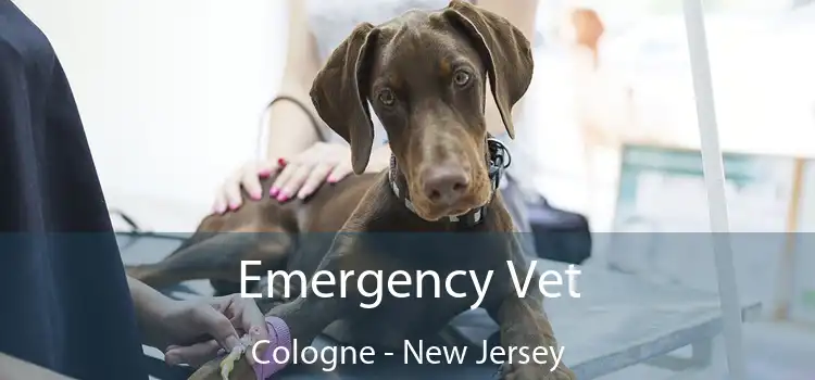 Emergency Vet Cologne - New Jersey