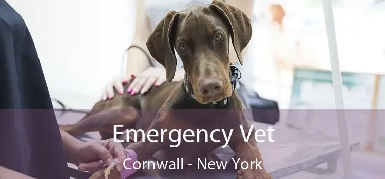 Emergency Vet Cornwall - New York