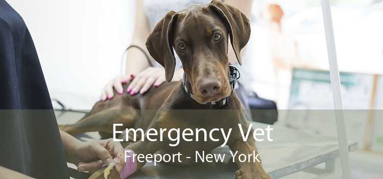 Emergency Vet Freeport - New York