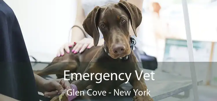 Emergency Vet Glen Cove - New York