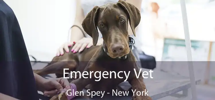 Emergency Vet Glen Spey - New York