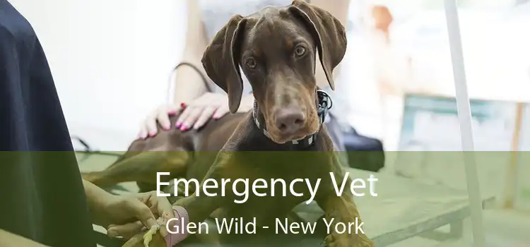 Emergency Vet Glen Wild - New York
