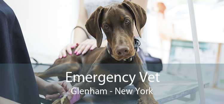 Emergency Vet Glenham - New York
