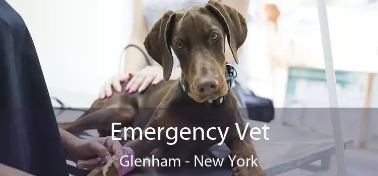 Emergency Vet Glenham - New York