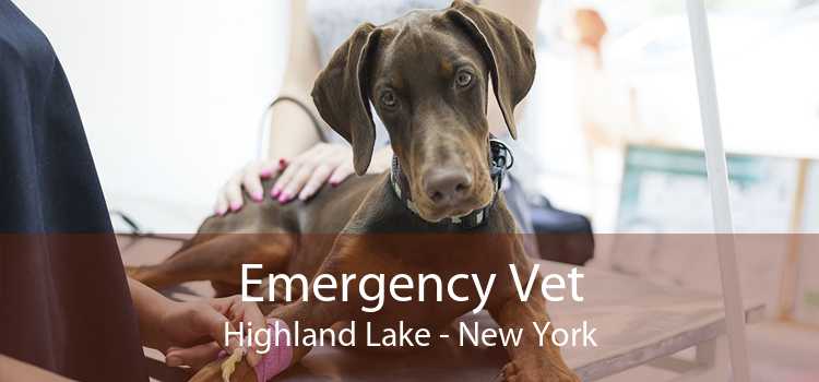 Emergency Vet Highland Lake - New York