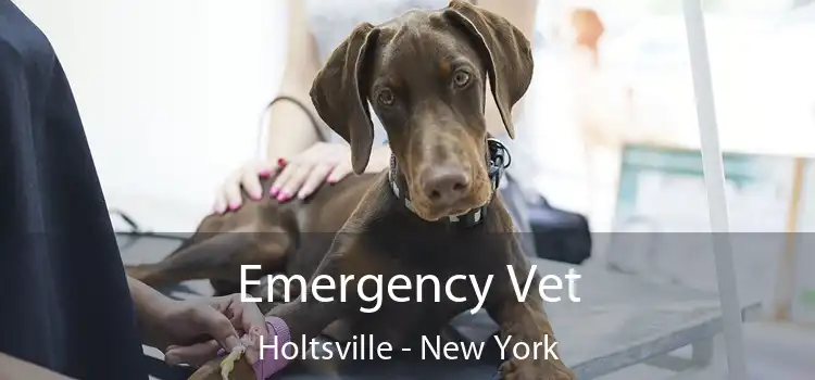 Emergency Vet Holtsville - New York