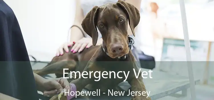 Emergency Vet Hopewell - New Jersey