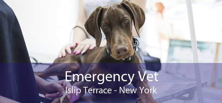 Emergency Vet Islip Terrace - New York