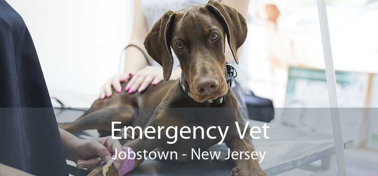 Emergency Vet Jobstown - New Jersey