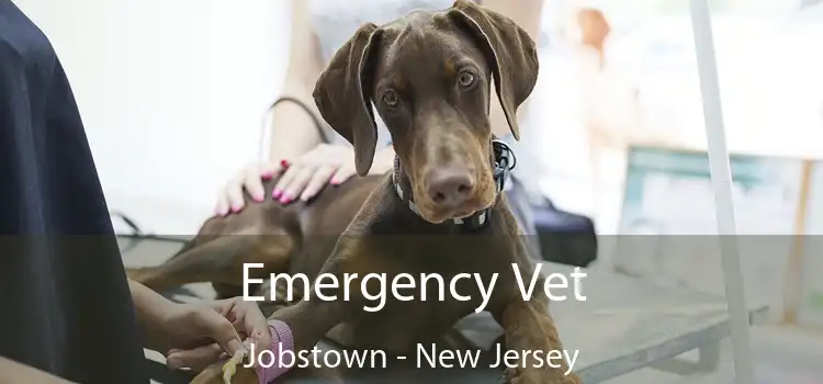 Emergency Vet Jobstown - New Jersey