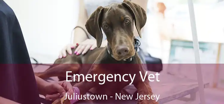 Emergency Vet Juliustown - New Jersey