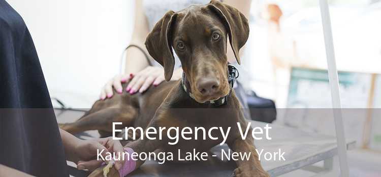 Emergency Vet Kauneonga Lake - New York