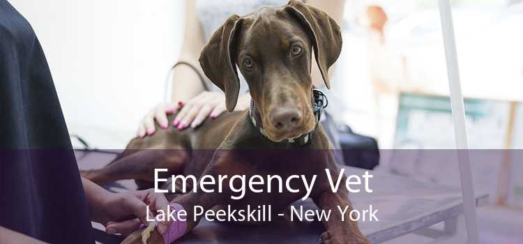 Emergency Vet Lake Peekskill - New York