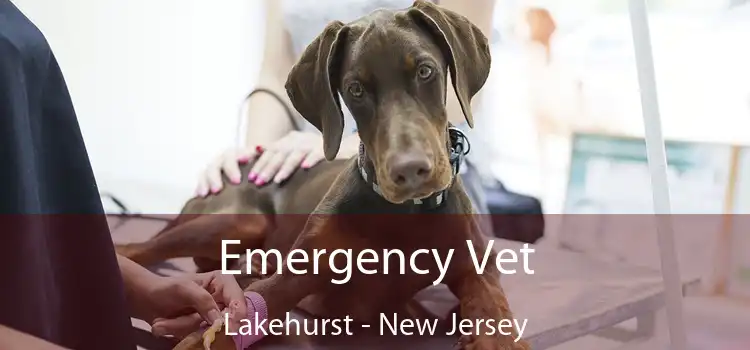 Emergency Vet Lakehurst - New Jersey