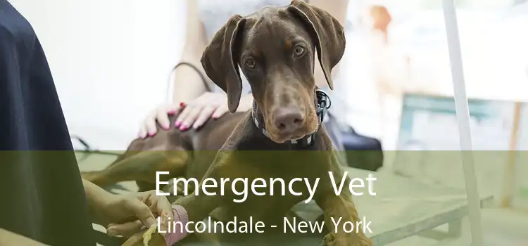 Emergency Vet Lincolndale - New York