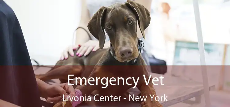 Emergency Vet Livonia Center - New York