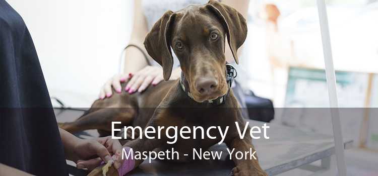 Emergency Vet Maspeth - New York