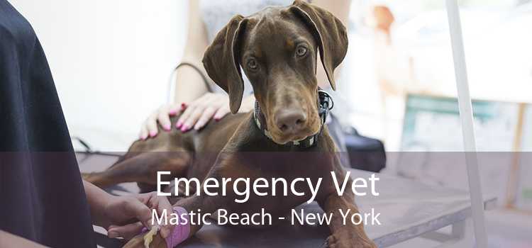 Emergency Vet Mastic Beach - New York