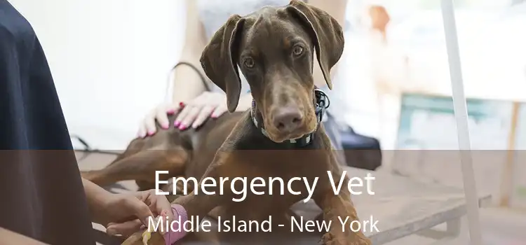 Emergency Vet Middle Island - New York