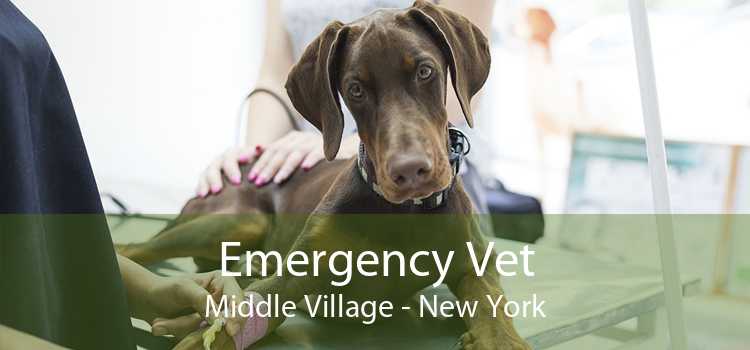 Emergency Vet Middle Village - New York