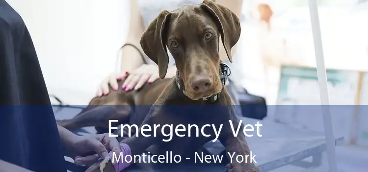 Emergency Vet Monticello - New York