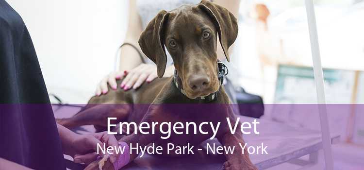 Emergency Vet New Hyde Park - New York