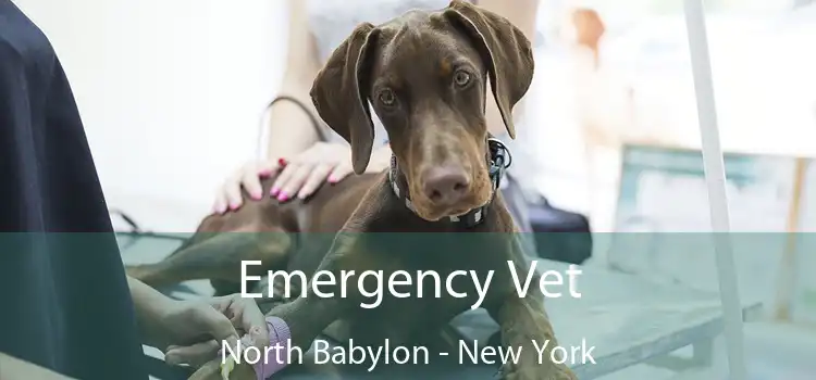 Emergency Vet North Babylon - New York