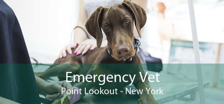 Emergency Vet Point Lookout - New York