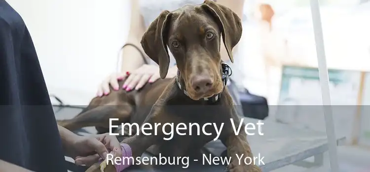 Emergency Vet Remsenburg - New York