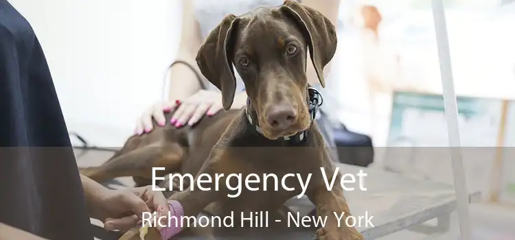 Emergency Vet Richmond Hill - New York
