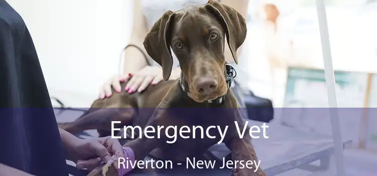 Emergency Vet Riverton - New Jersey