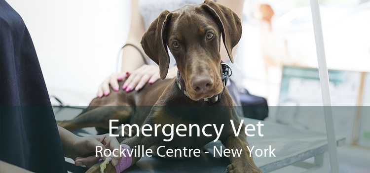 Emergency Vet Rockville Centre - New York