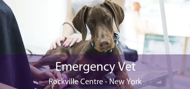 Emergency Vet Rockville Centre - New York