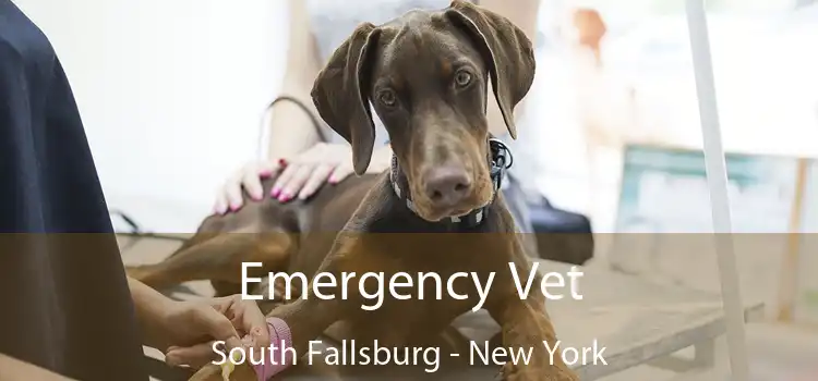 Emergency Vet South Fallsburg - New York