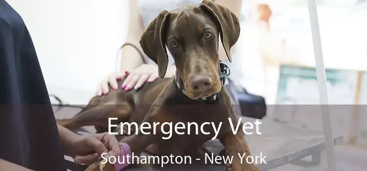 Emergency Vet Southampton - New York