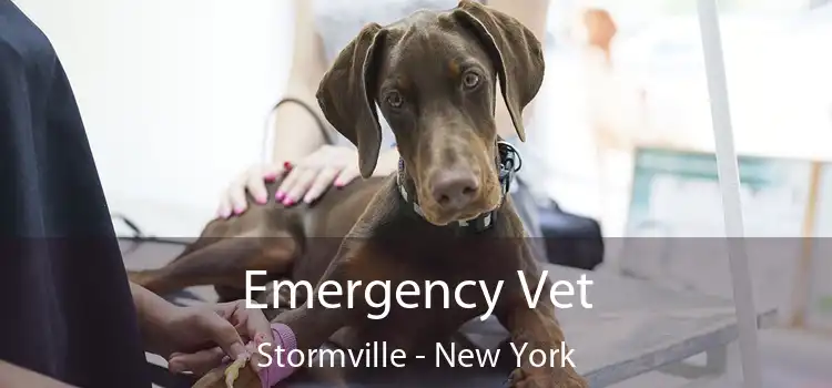 Emergency Vet Stormville - New York