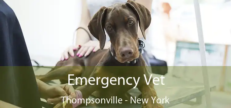 Emergency Vet Thompsonville - New York