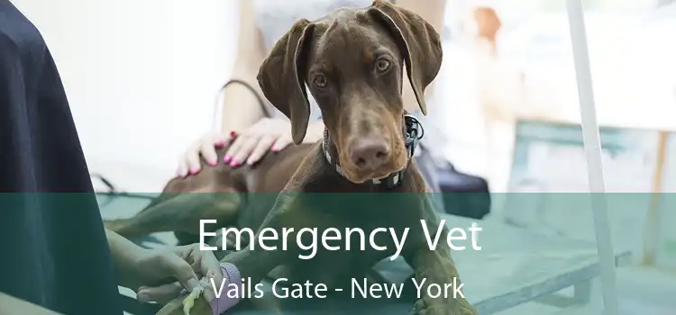 Emergency Vet Vails Gate - New York