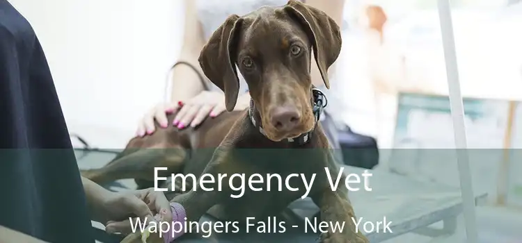 Emergency Vet Wappingers Falls - New York