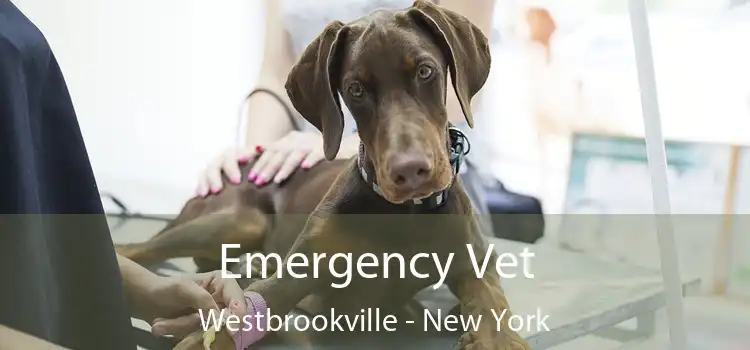 Emergency Vet Westbrookville - New York