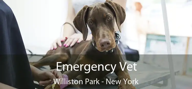 Emergency Vet Williston Park - New York
