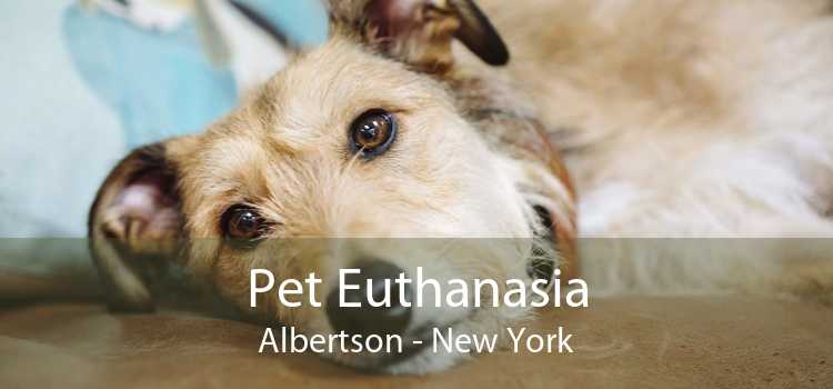 Pet Euthanasia Albertson - New York