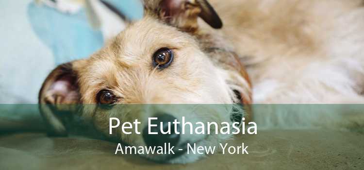 Pet Euthanasia Amawalk - New York