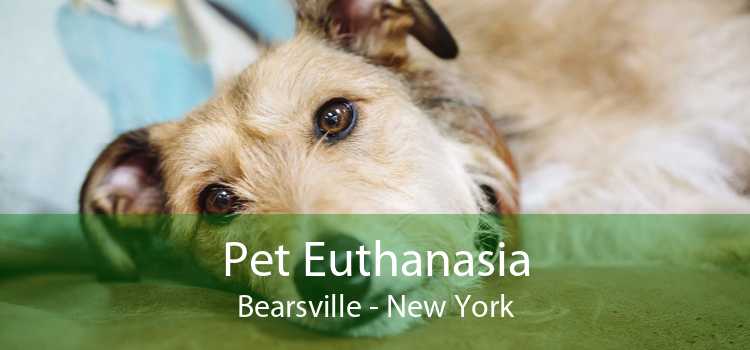 Pet Euthanasia Bearsville - New York