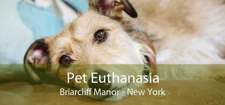 Pet Euthanasia Briarcliff Manor - New York