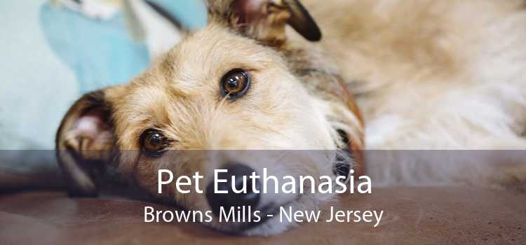 Pet Euthanasia Browns Mills - New Jersey