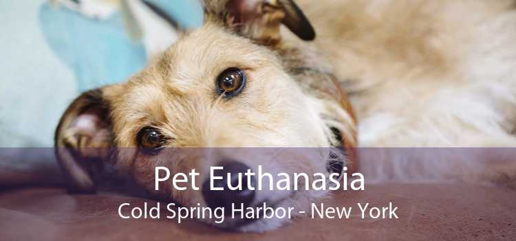 Pet Euthanasia Cold Spring Harbor - New York
